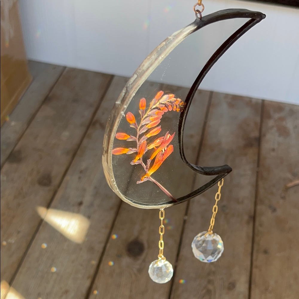 Plant Haus Mini Moon Pressed Flower